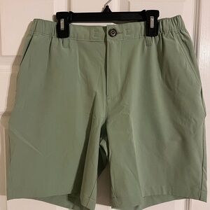 Chubbies Light Green Everywear 8 inch inseam Shorts